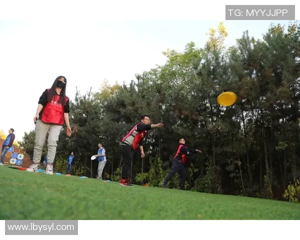 飞盘新手必看:全面掌握飞盘技巧与状态入门指南